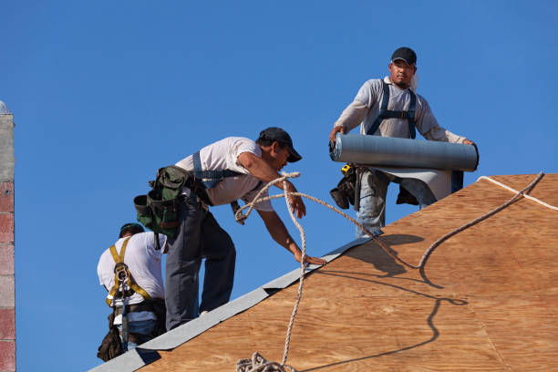 Best Emergency Roof Repair  in Midway, KY